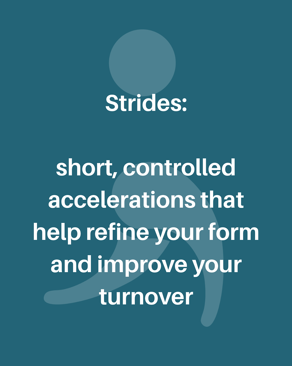 strides are short controlled accelerations that help refine your form and improve turnover