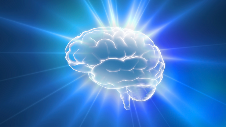 an image of the brain representing adhd